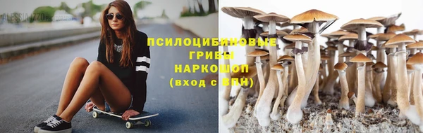 скорость Белокуриха