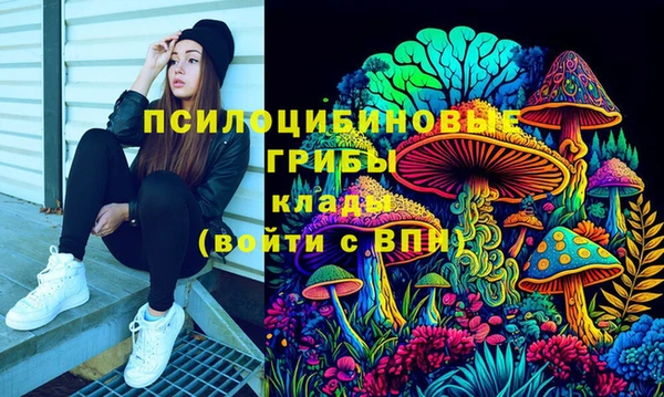 скорость Белокуриха