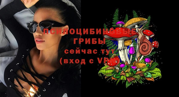 крисы Беломорск