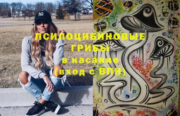 крисы Беломорск