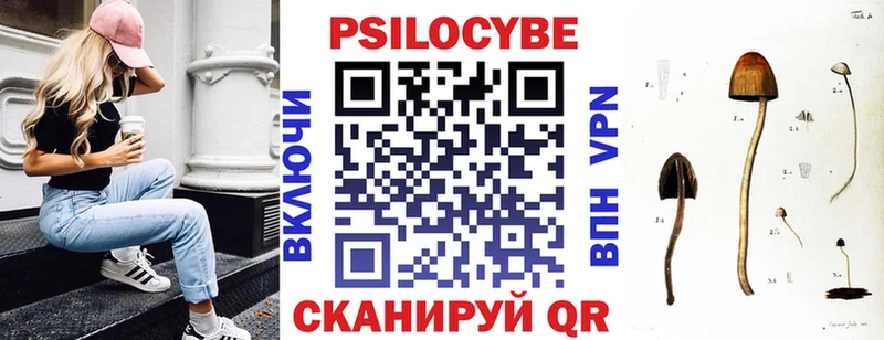 Галлюциногенные грибы Magic Shrooms  цены наркотик  Волжск 
